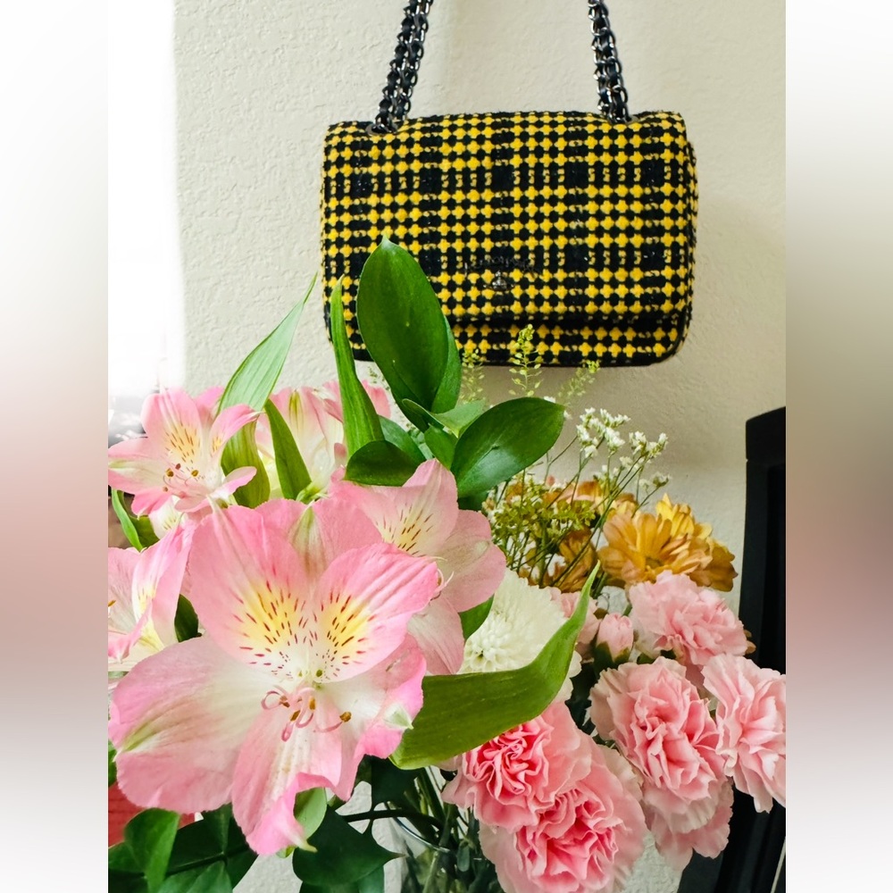 Vivienne Westwood bag shoulder bag crossbody